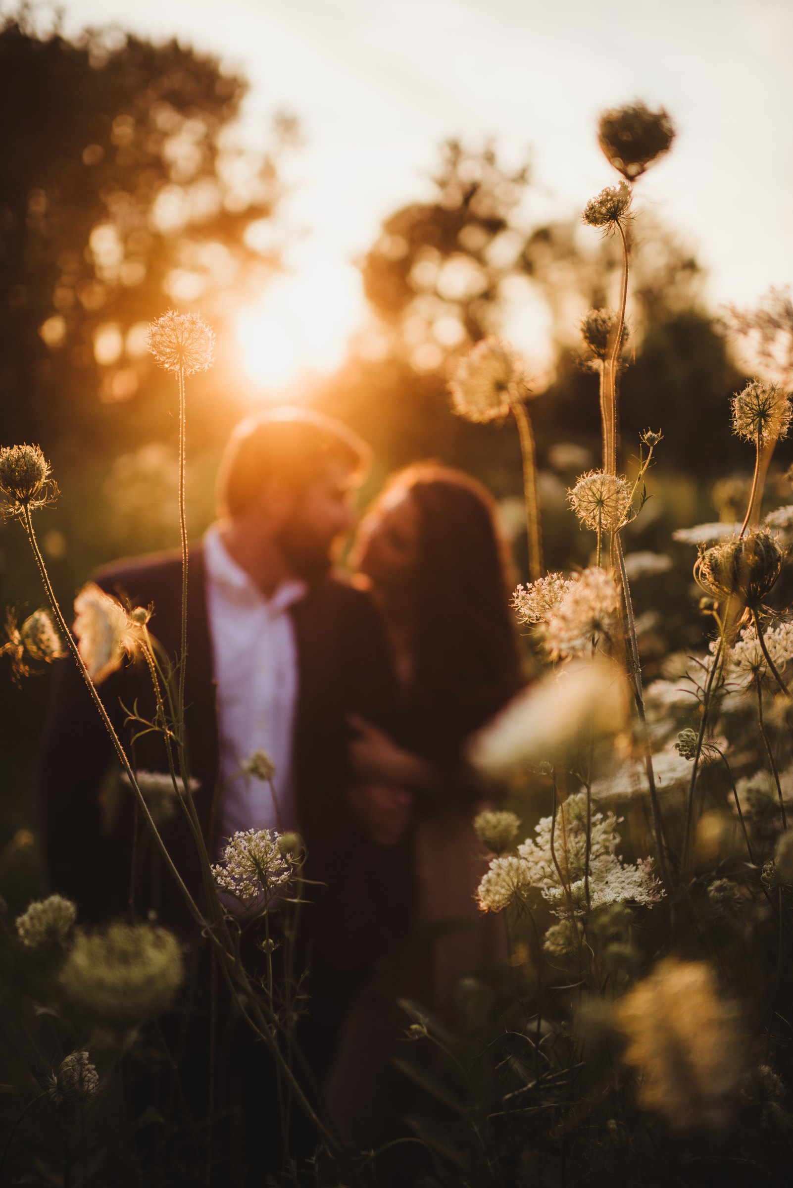 A couple in a field at sunset, with flowers in the foreground