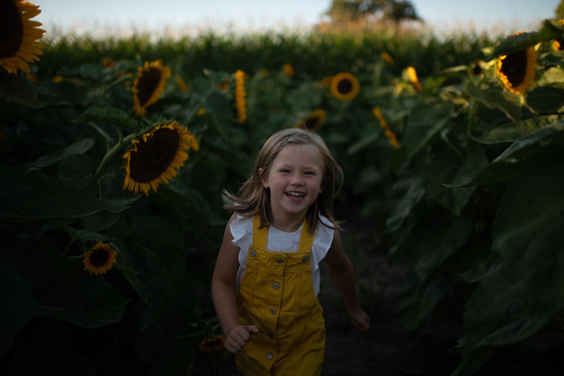 Before: Girl in yellow overalls in a sunflower field.