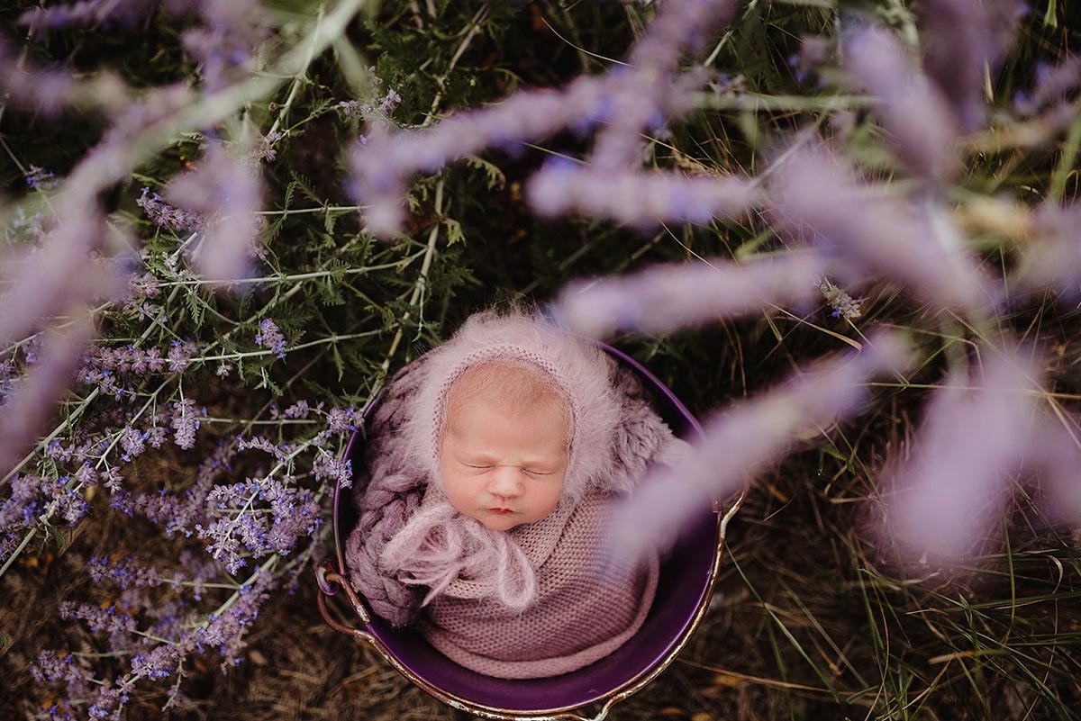 Newborn Girl in Lavender