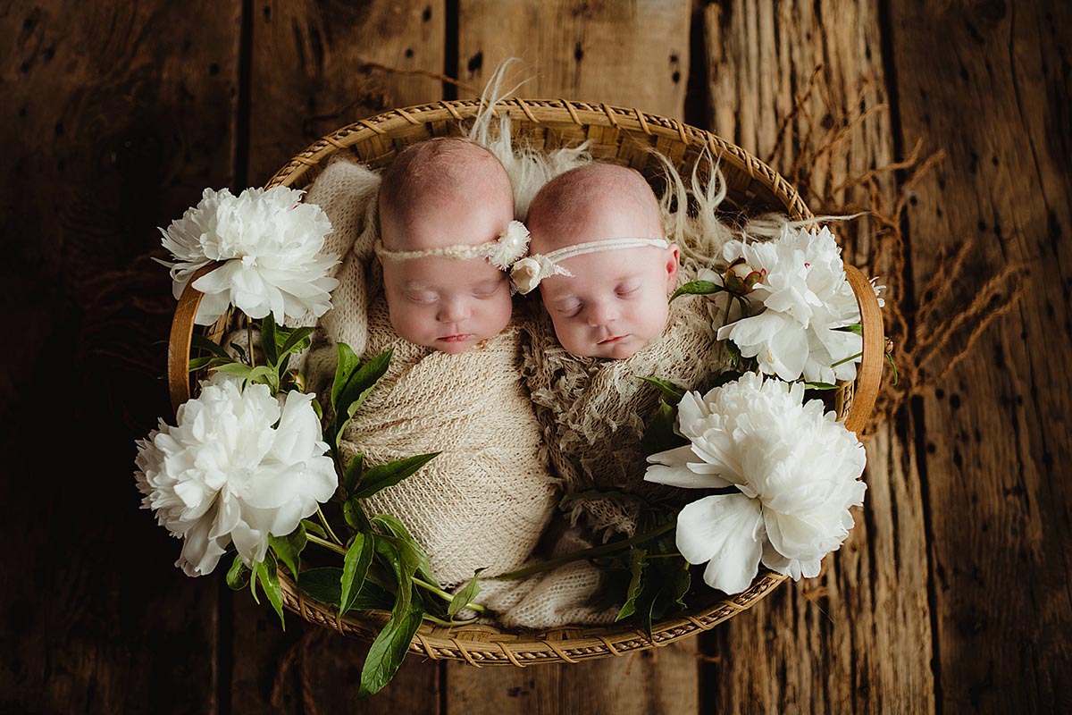 Newborn Twins in Basket