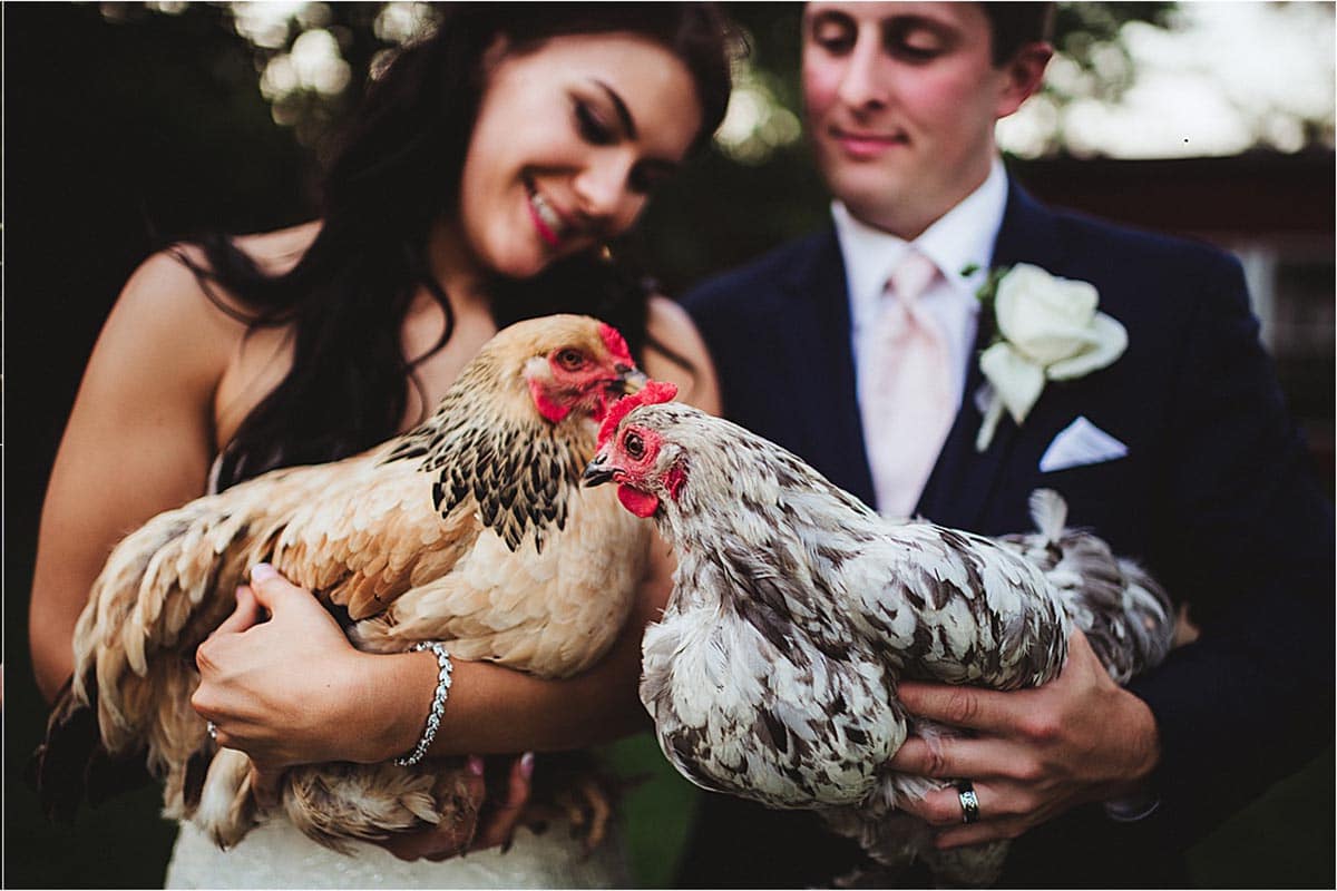 Bride and Groom with Chickens