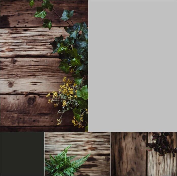 Stock Image Pack | Botanical Pack 1 (10 images) - Image 3