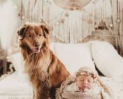 A serene newborn portrait featuring a baby resting in a basket alongside a loyal pet dog, showcasing techniques taught in the Newborn Photography Online Workshop.