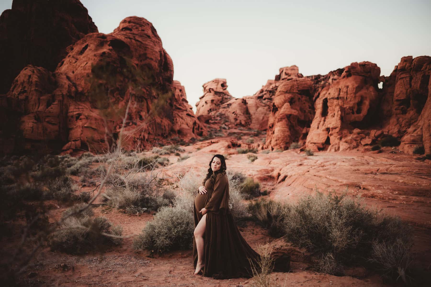 A pregnant woman in a flowing brown dress stands contemplatively in a rugged desert landscape, surrounded by red rock formations.