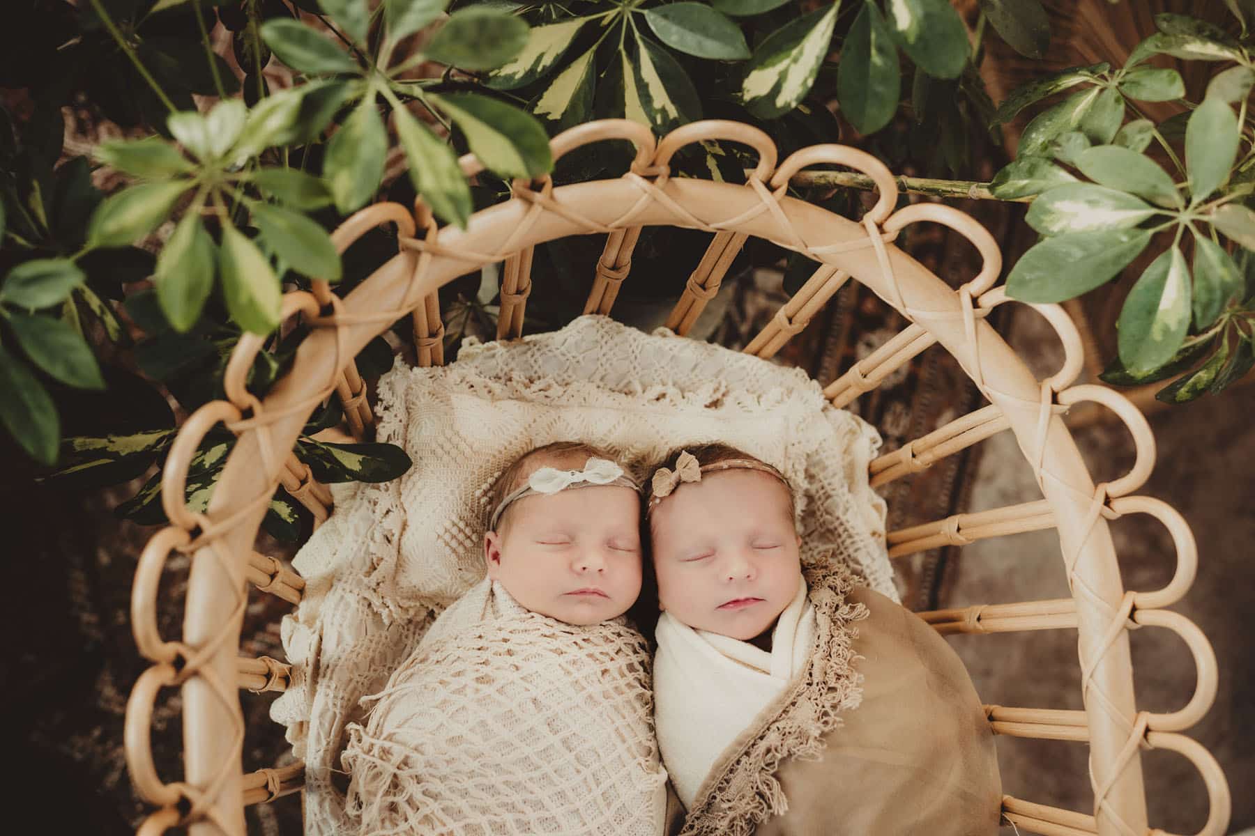 Newborn twins wrapped in cozy blankets, sleeping serenely in a woven bassinet surrounded by lush greenery