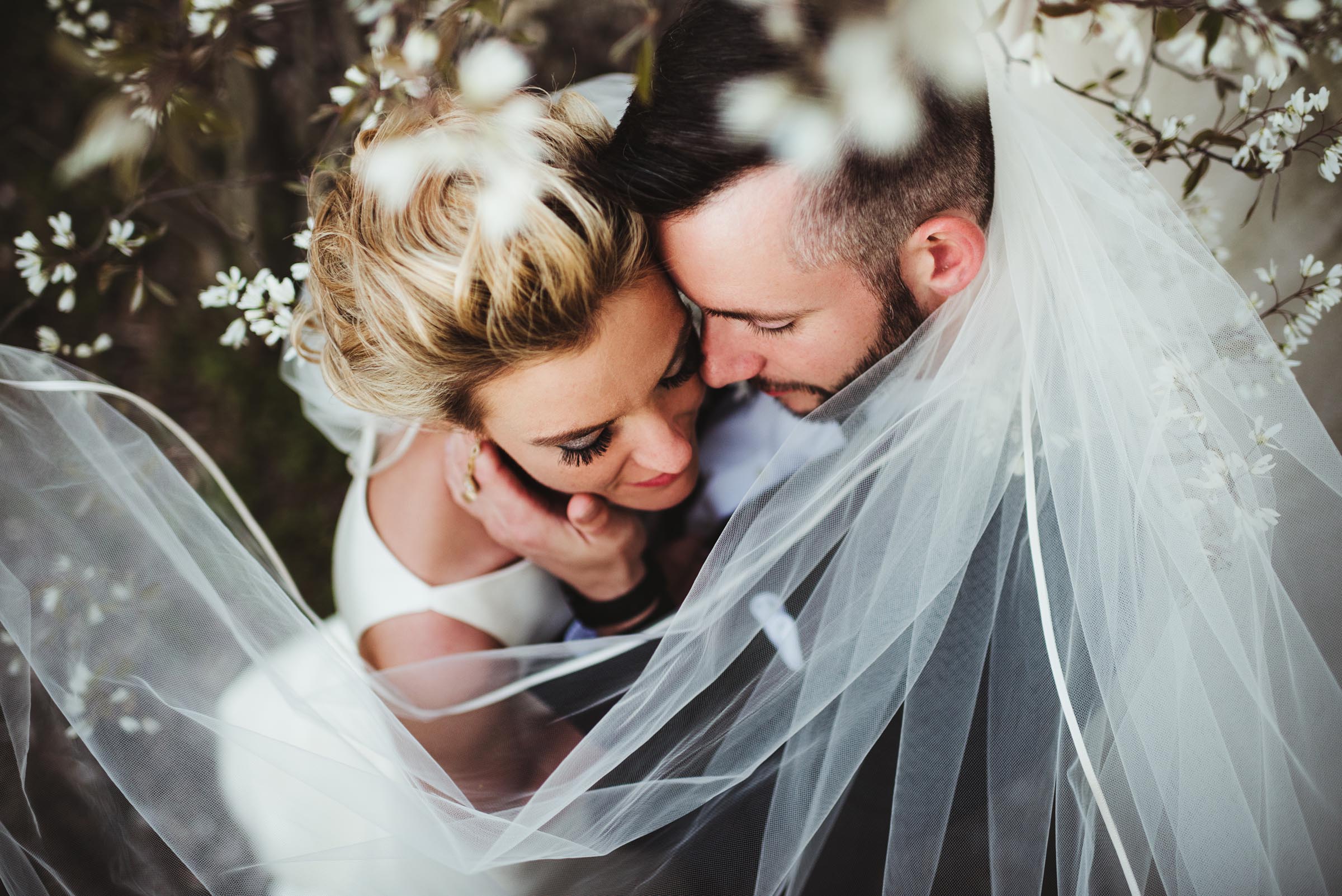 couple wrapped in veil under magnolia flowers