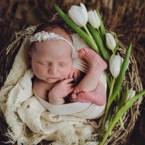 Newborn - Womb Wrap into a Bowl