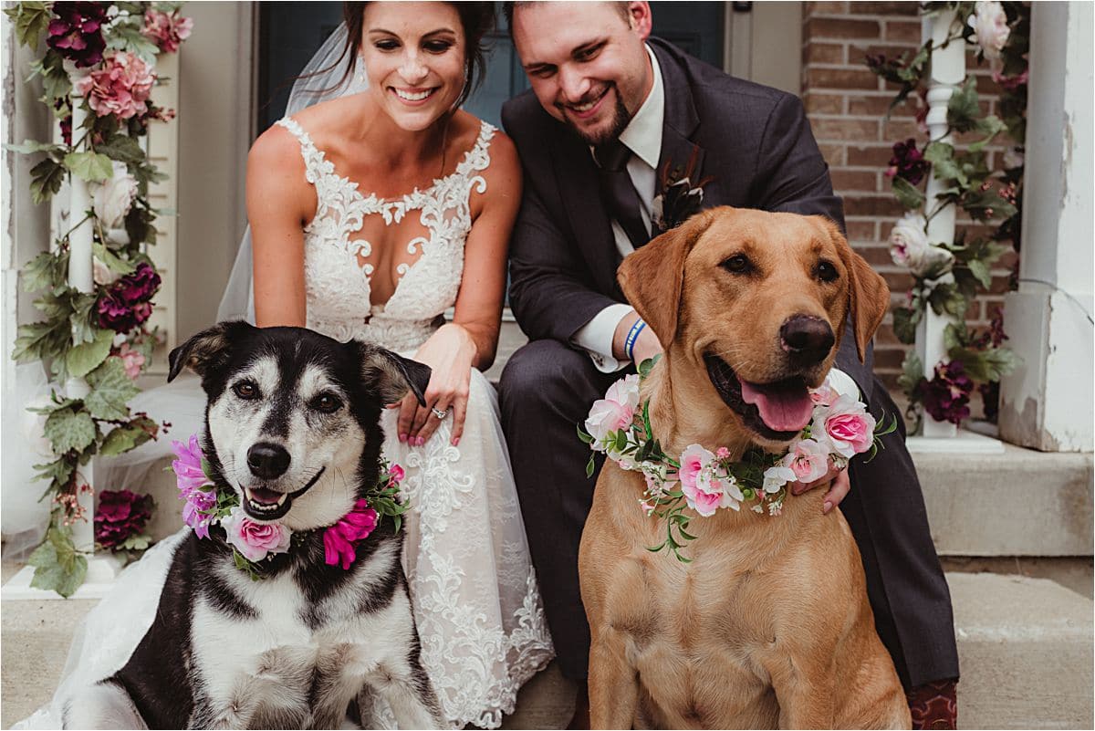 Bride and Groom With Dogs