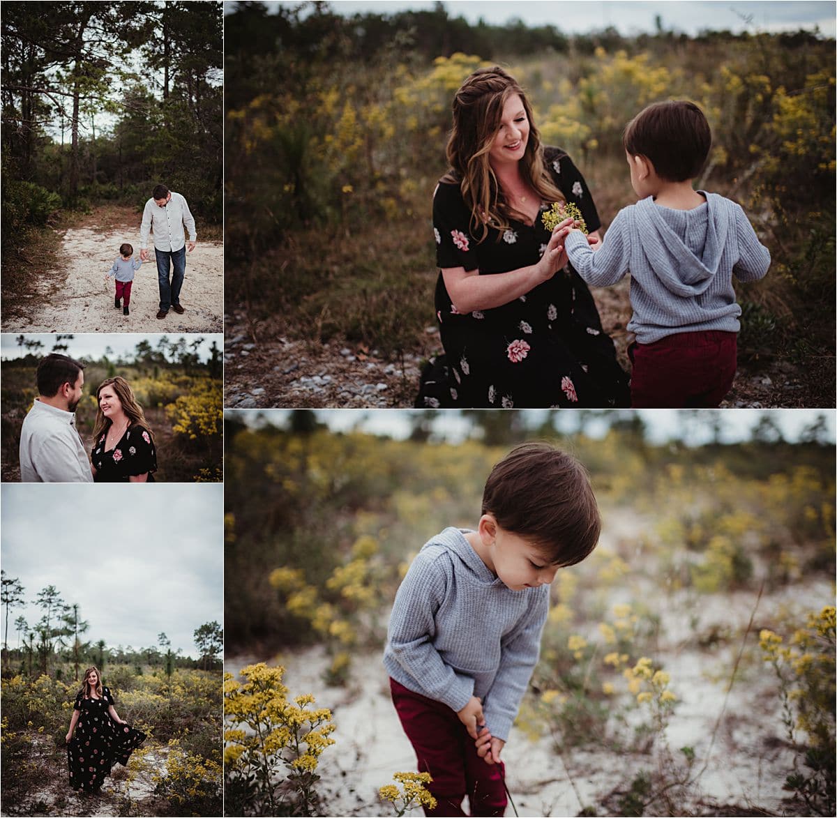 Outdoor Family Wilderness Session Family Exploring