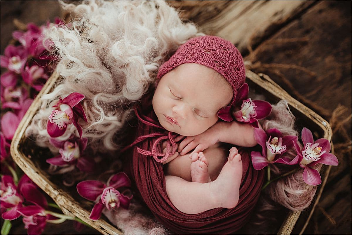 Newborn Girl in Basket with Orchids