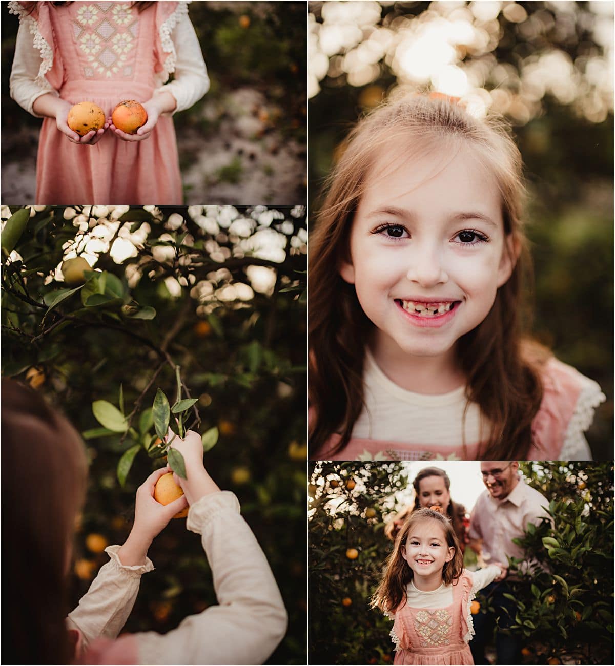 Orange Grove Close Ups Little Girl