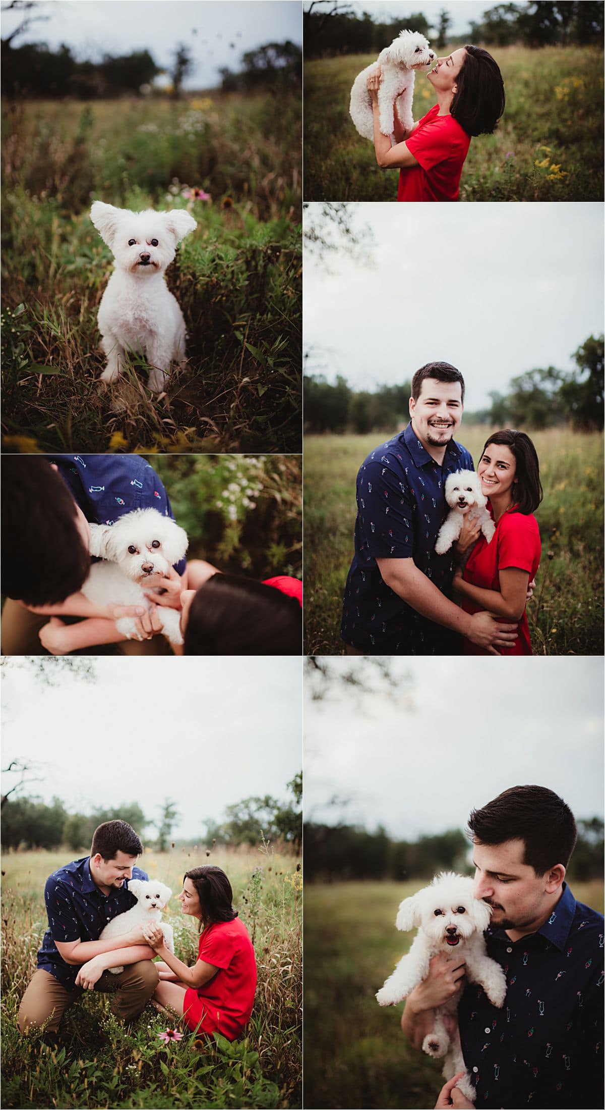 Flower Field Engagement Session with Dog