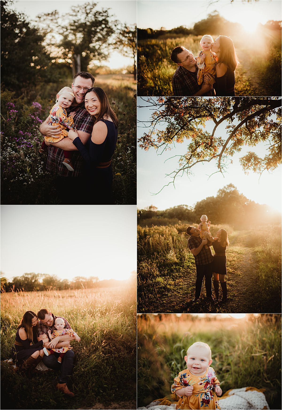 Collage Family in Field Sunset