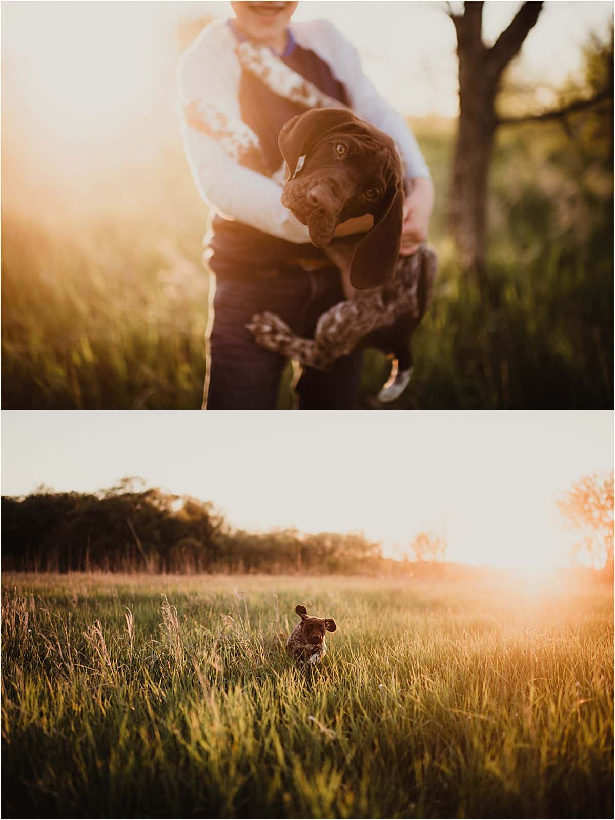 Boy and Dog at Sunset