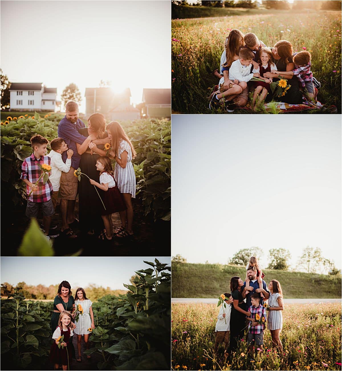 Sunset Wildflower Session Family in Wildflower Field