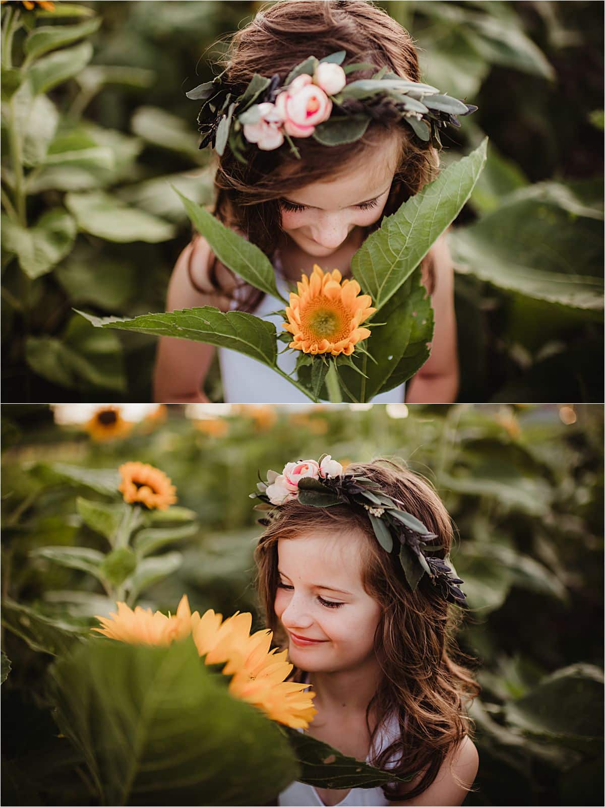 Flower Field Sunset Session Little Girl in Sunflower Field
