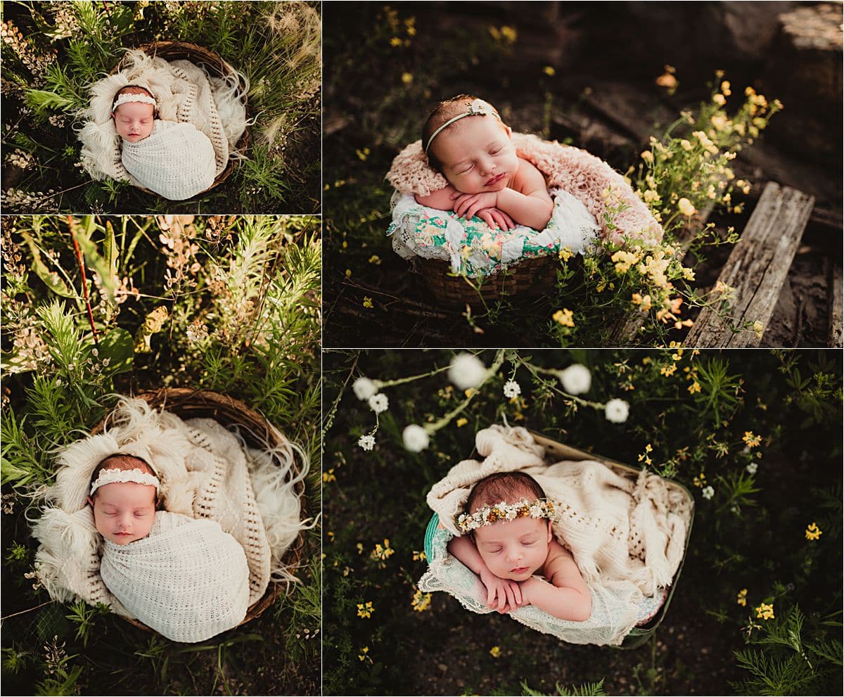 Urban Wildflower Newborn Session Collage Newborn in Field