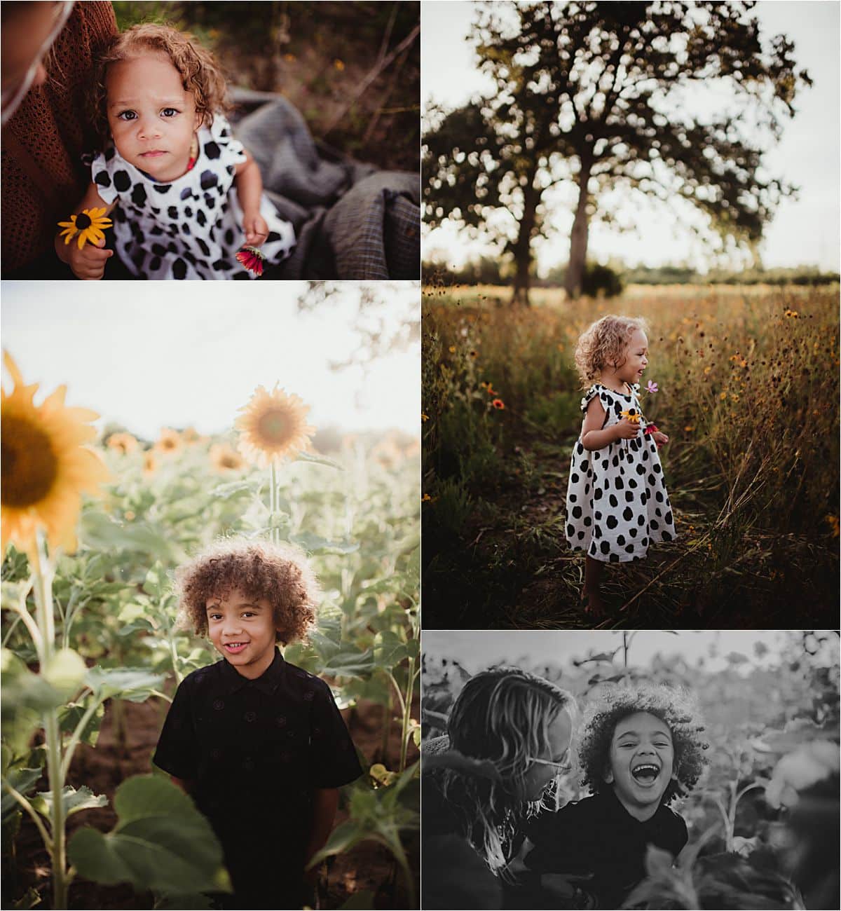 Wildflower Sibling Session Collage Kids in Sunflower Field