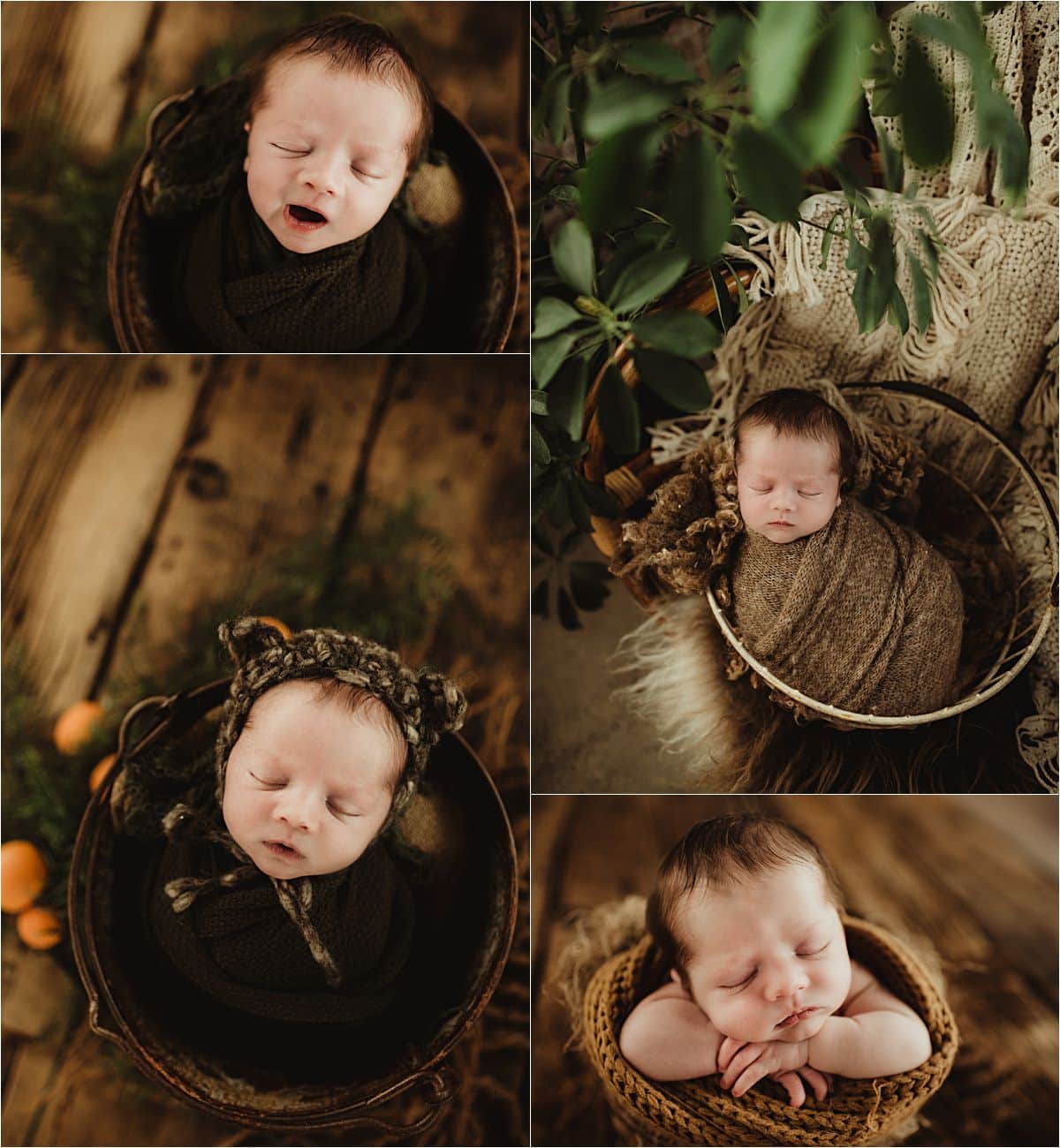 Nature Inspired Newborn Session Collage Newborn Boy