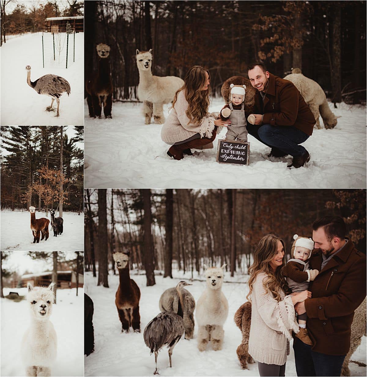 Winter Family Farm Session Family with Animals