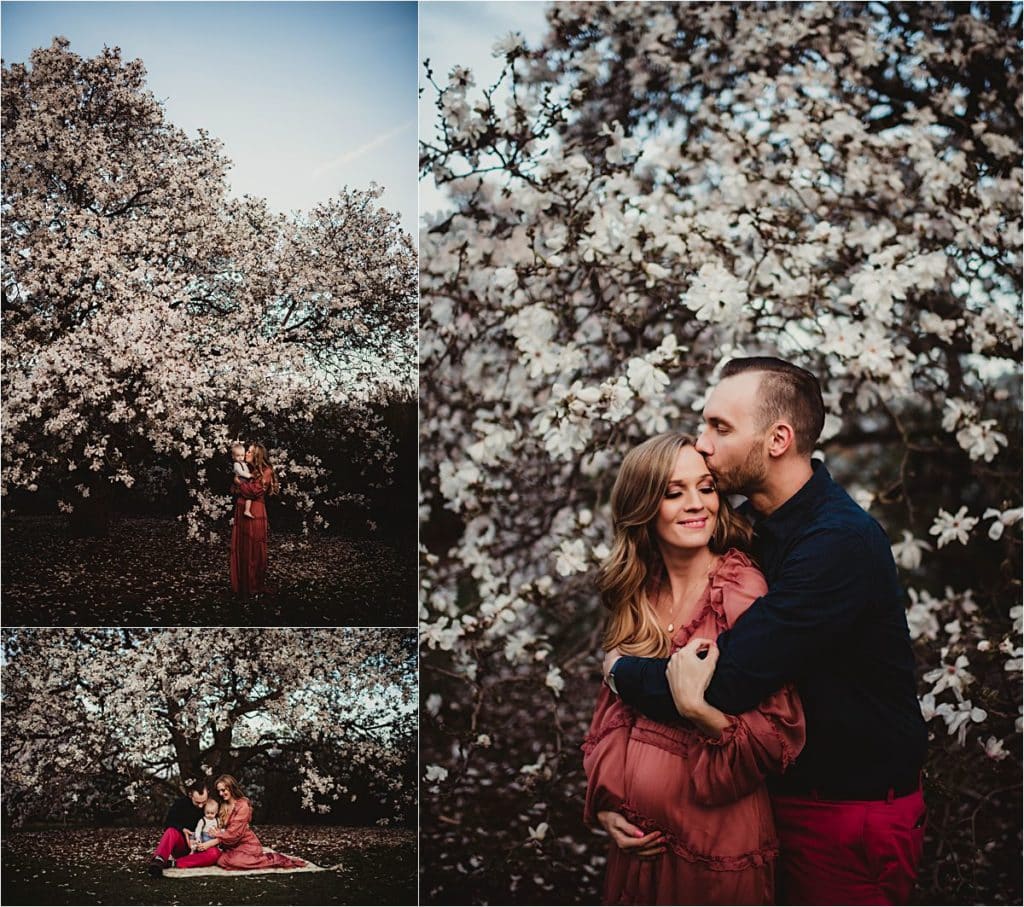 Madison - Cincinnati Maternity session in the Cherry Blossoms