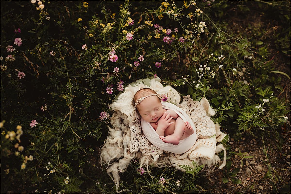 Newborn Girl in Pink Flowers