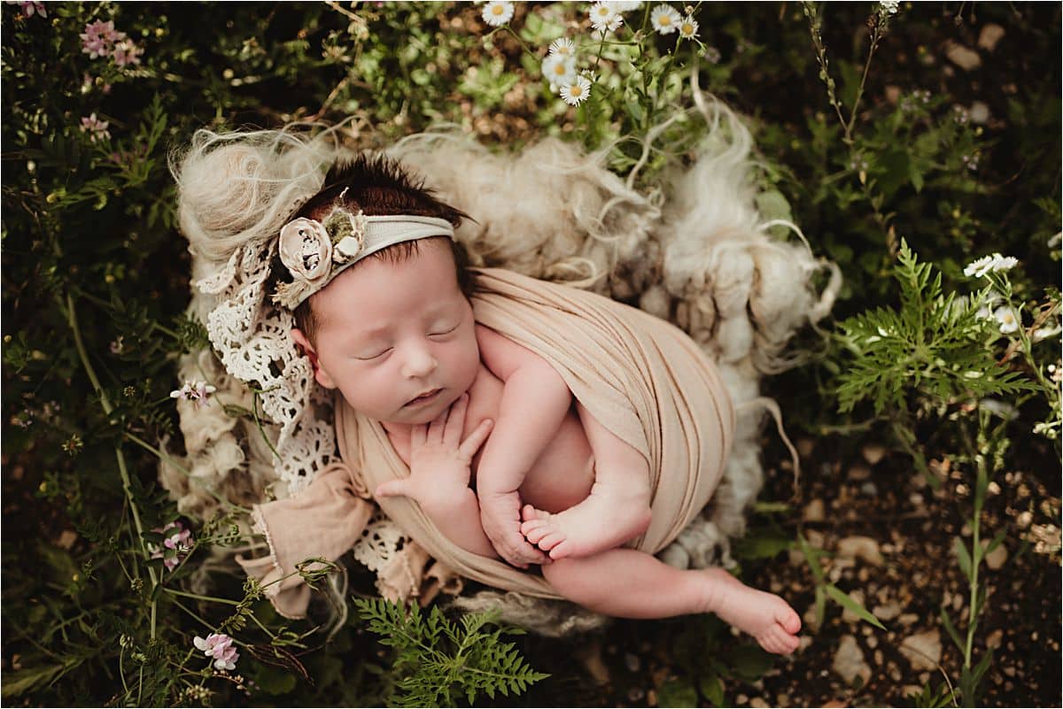 Newborn Girl in Ivory