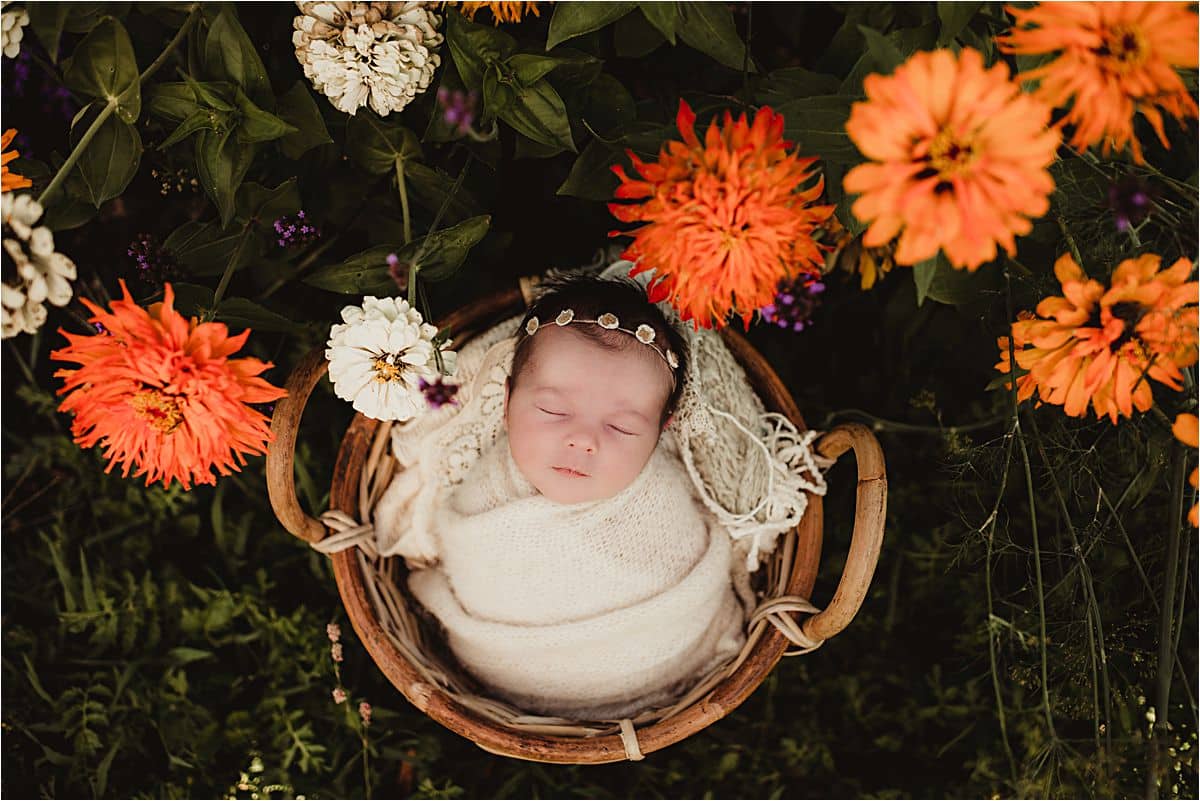 Newborn in Orange Flowers