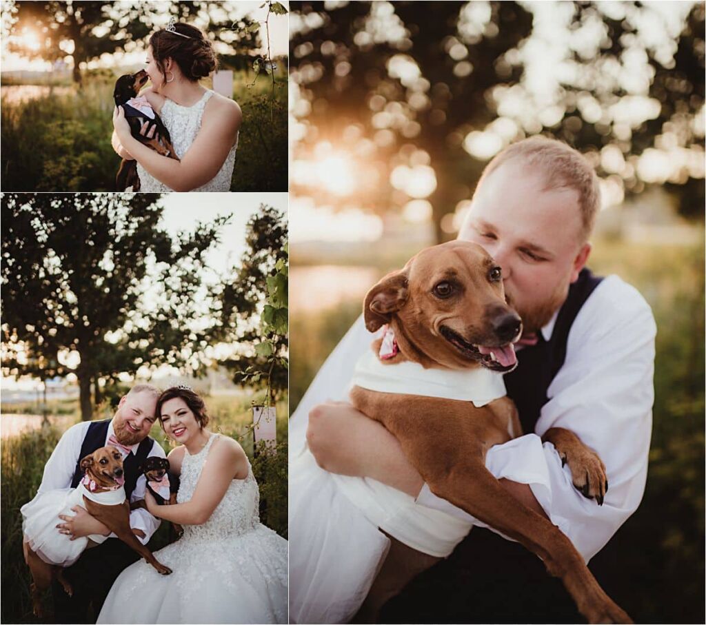 Western Wisconsin Summer Wedding Bride Groom with Pets 