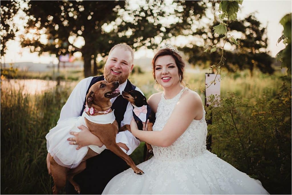Bride Groom with Dogs 