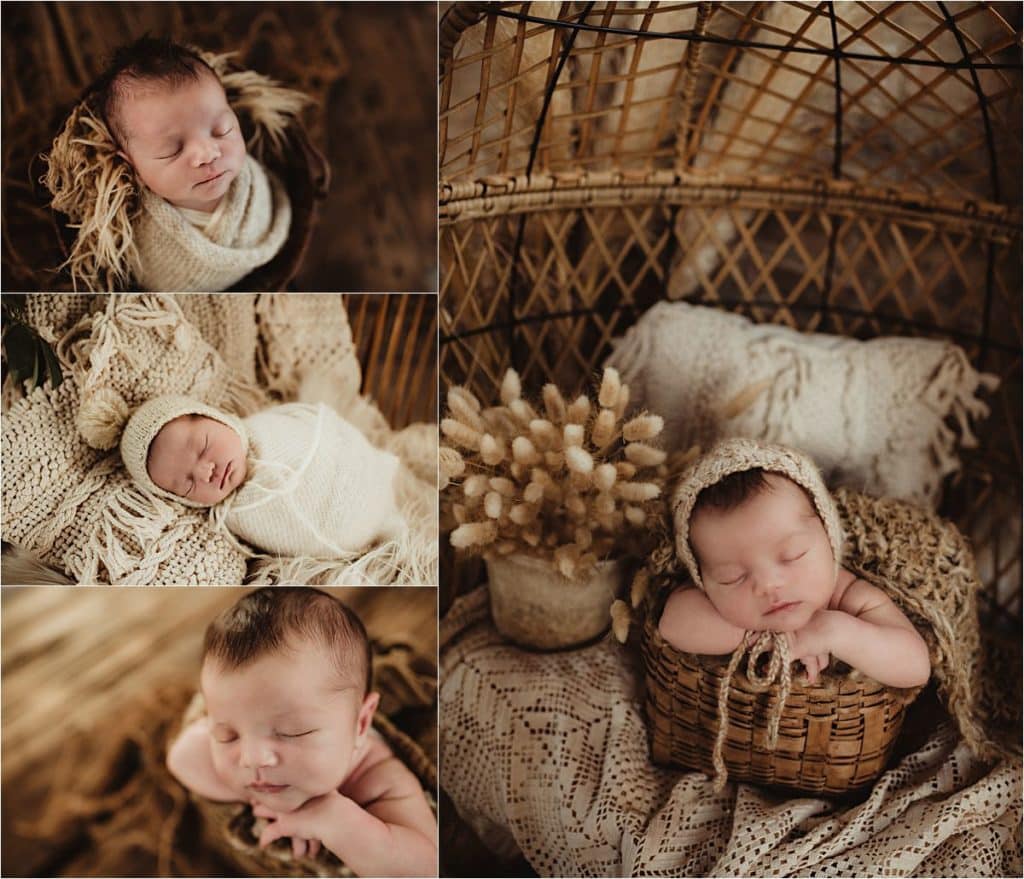 Fall Themed Newborn Session Collage