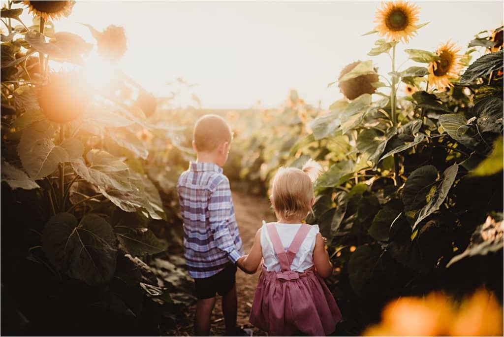 Sunset Sunflower Field Session Siblings Holding Hands