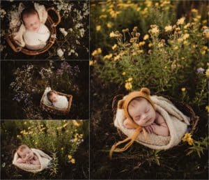 Collage Newborn in Field 