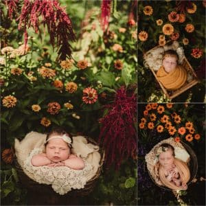 Summer Botanical Newborn Session Collage