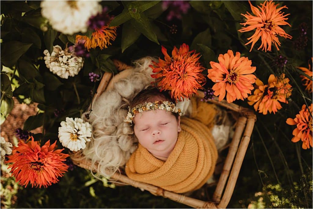 Newborn Girl in Orange Flowers