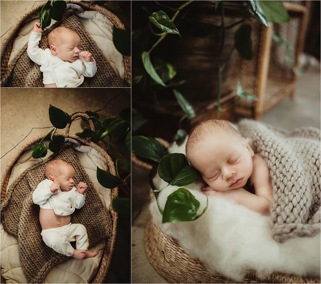 Neutral Newborn Boy Session Collage Newborn in Basket