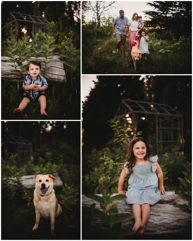 June Sunset Family Session Collage