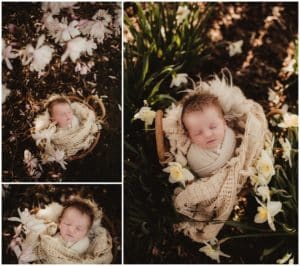 Newborn Boy Spring Session Collage Newborn Boy in Blooms