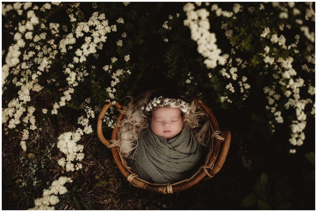 Newborn in Basket in Flowers