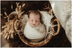 May Studio Newborn Session Newborn Boy in Basket