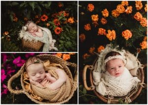 Collage Newborn in Flowers