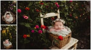 Madison Newborn Photographers Baby in Flowers