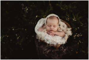 Madison Newborn Photos Newborn in Basket