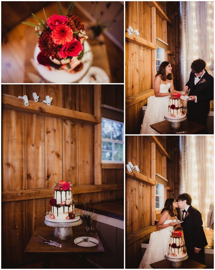 Wisconsin Wedding Photography Cake Cutting 