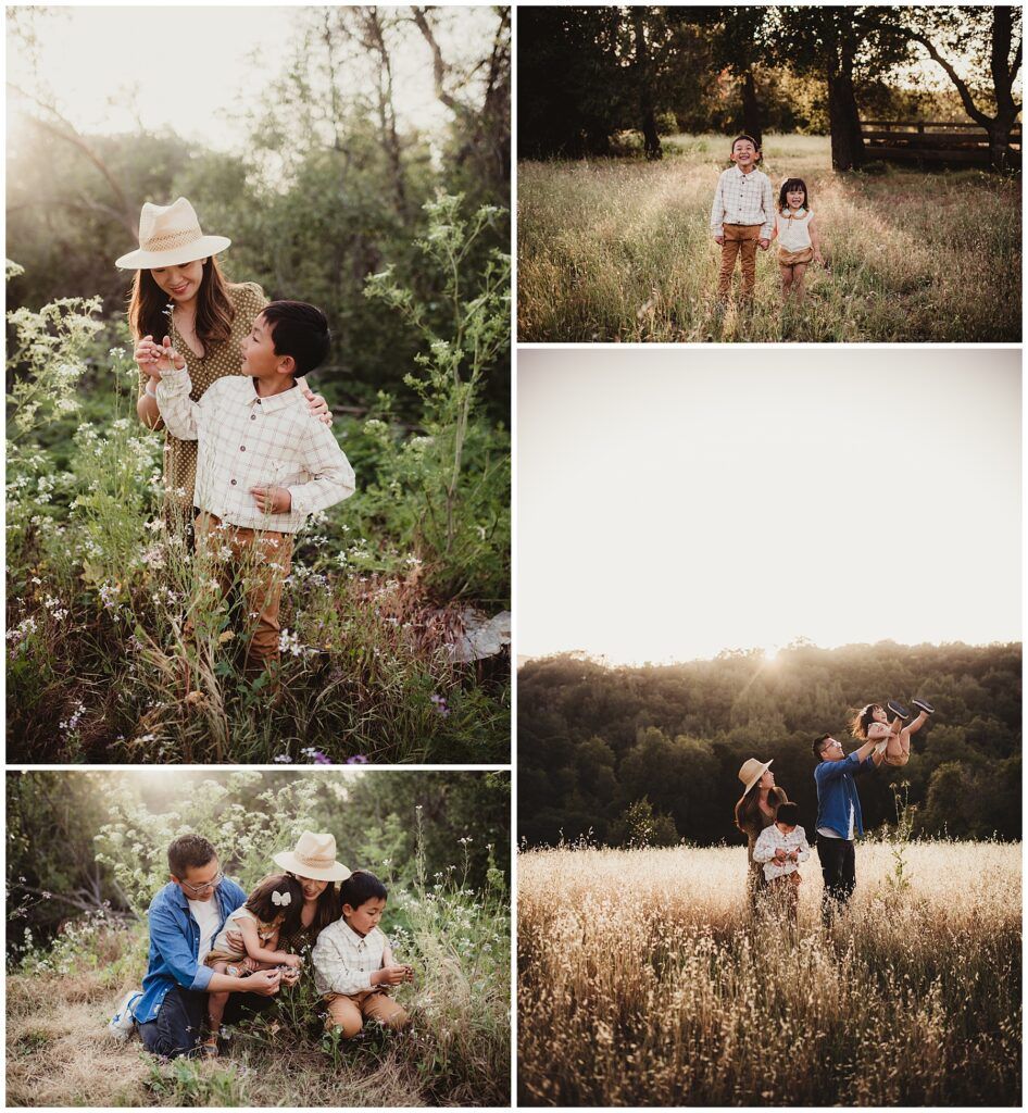 California Family Photography Collage Family in Field
