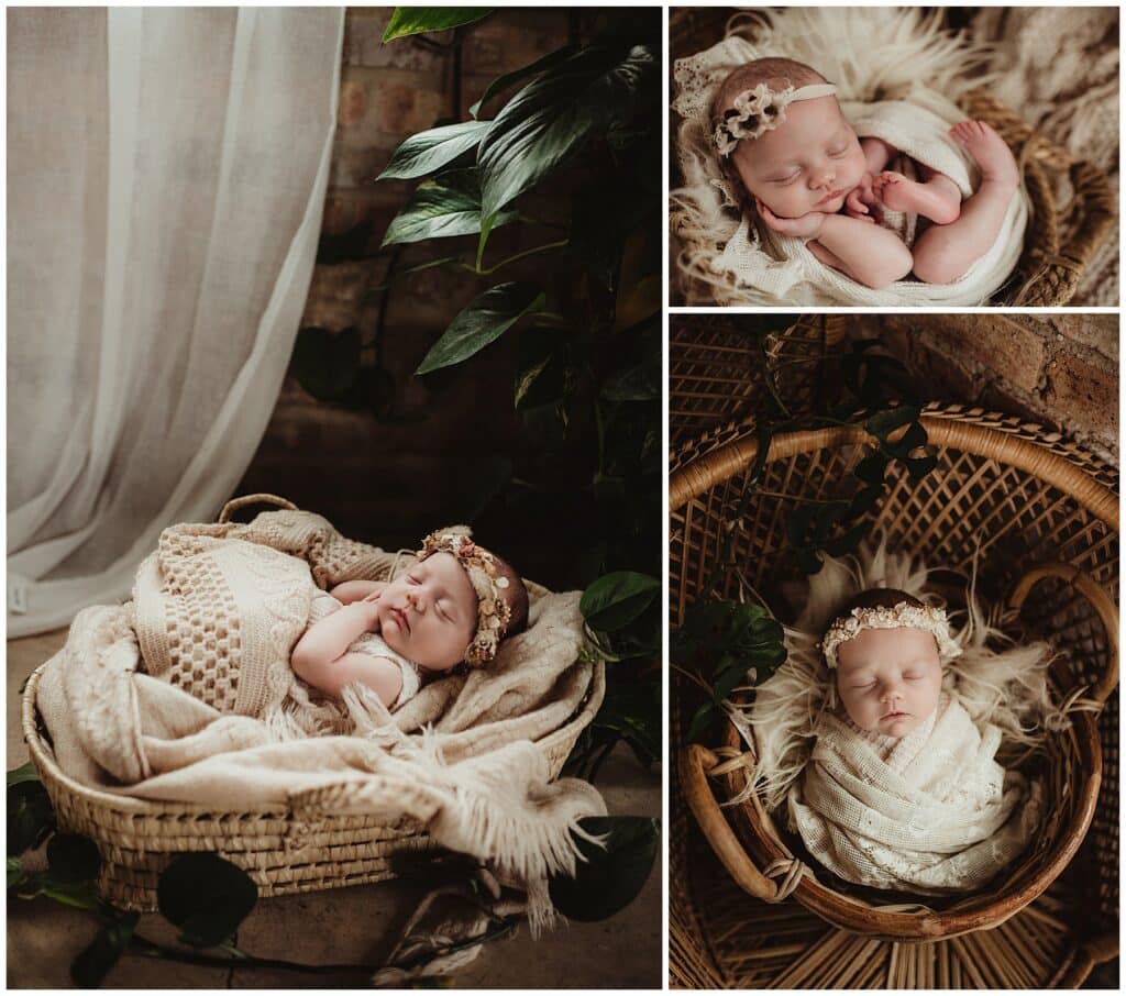 Newborn Photography Collage Newborn Girl 
