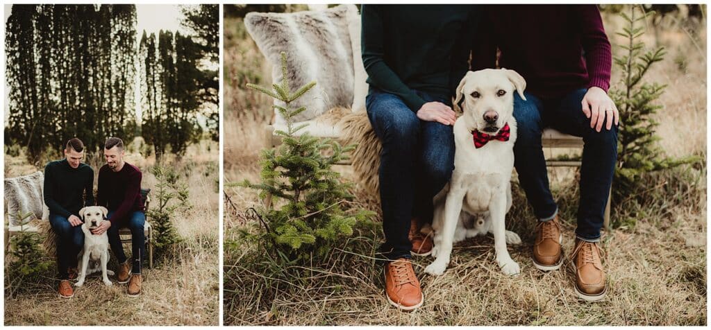 Middleton Portrait Photography Couple with Dog