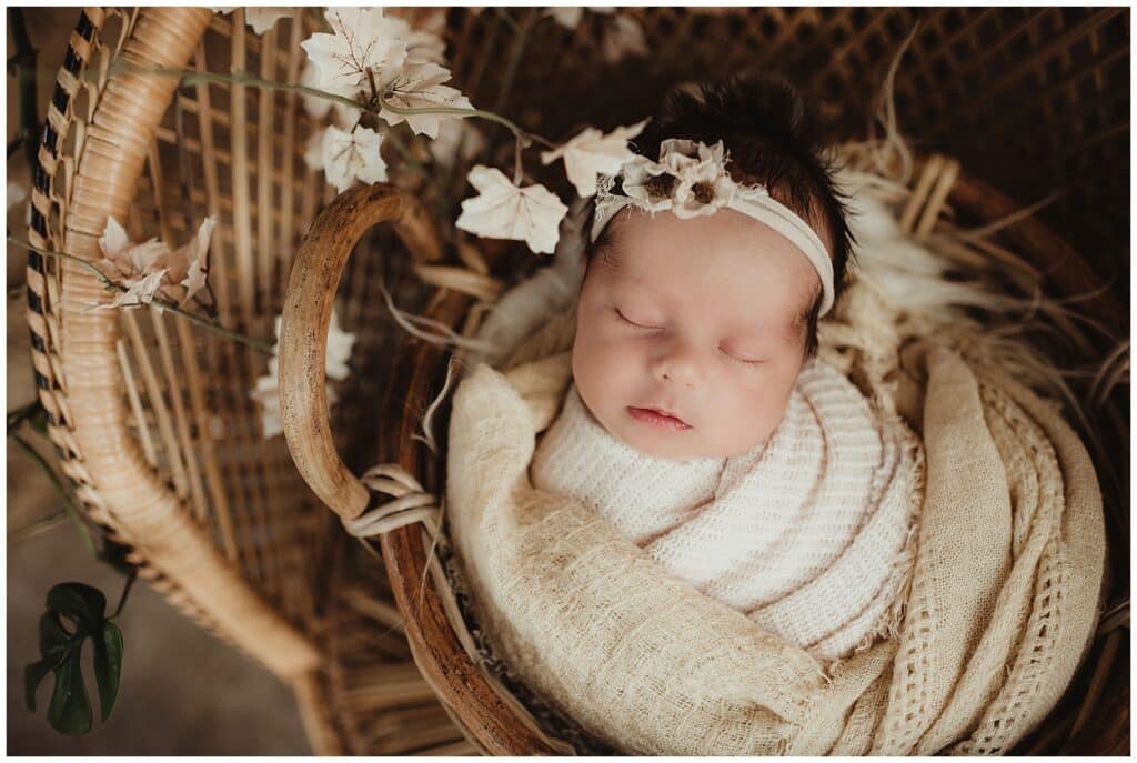Newborn Girl in Basket 