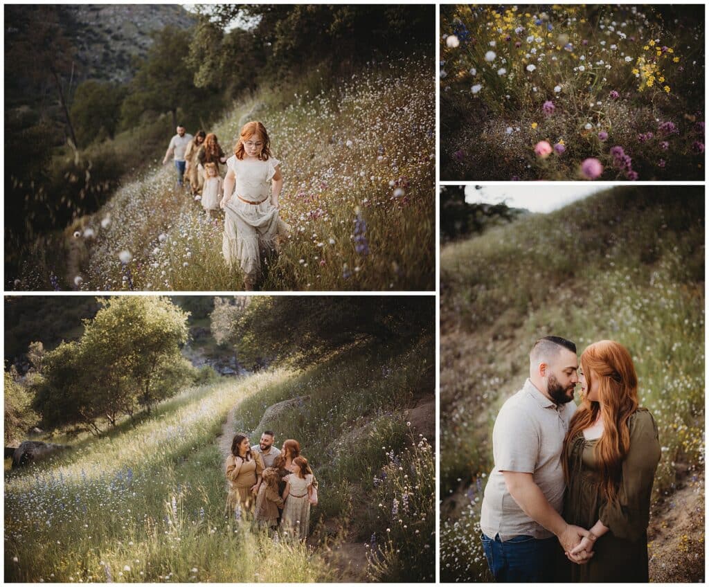 California Family Photography Family in Wildflowers