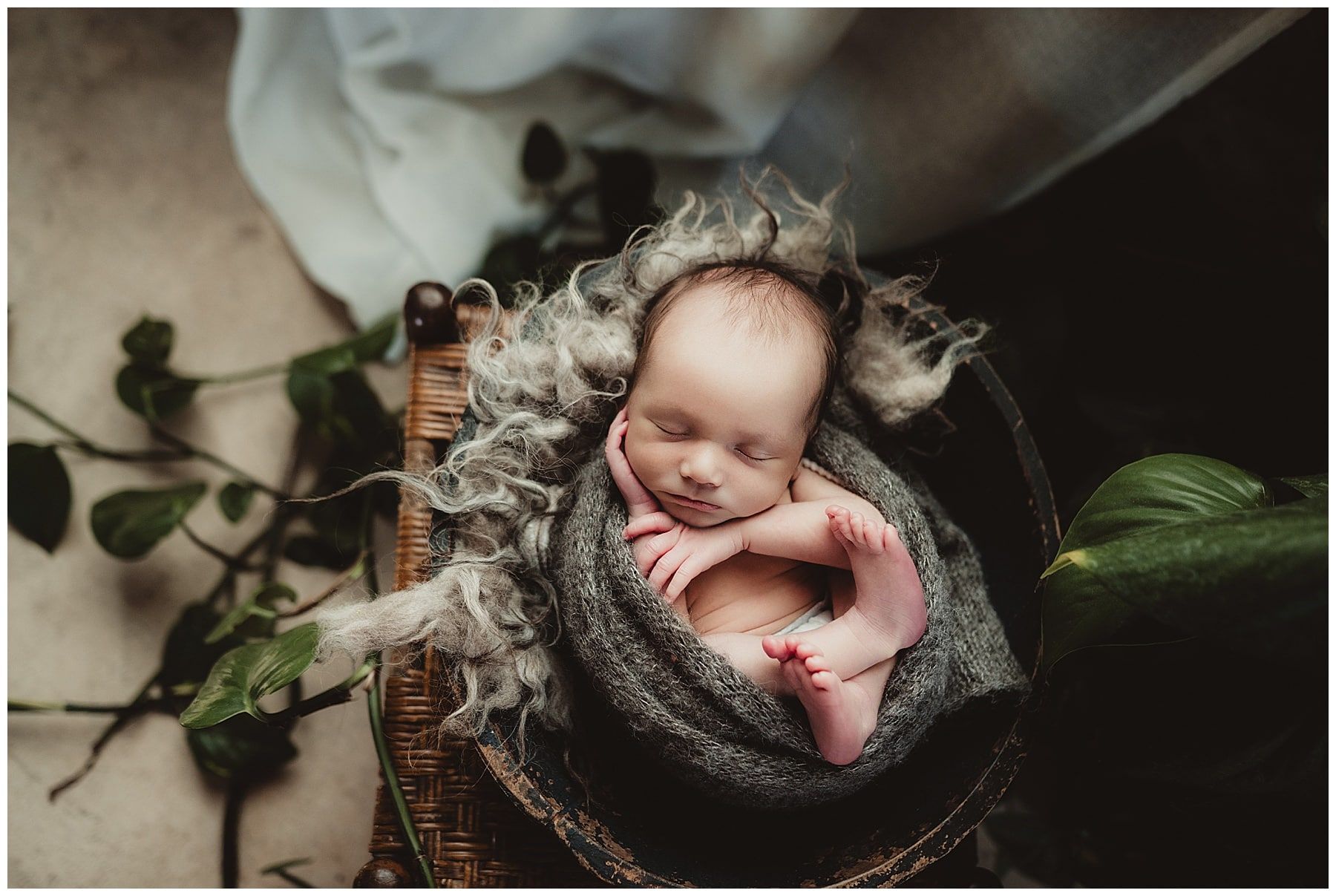 Madison Baby Photographer Newborn Boy in Basket